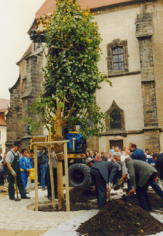 Pflanzung der Luther-Linde