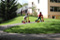 Rollerbahn