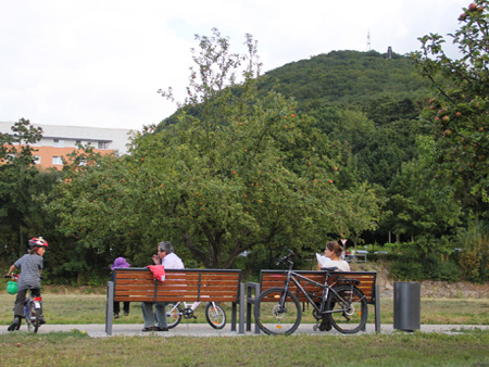 Blick zum Windberg