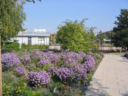 Freital Wiesengrten - Perennemix