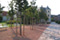 Freital Wiesengrten - Allee
