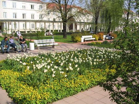 Pflanzung mit Tulpen und Waldsteinia