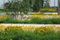 Staudenpflanzung mit Rudbeckia