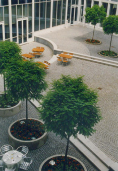 Blick von oben auf das Atrium