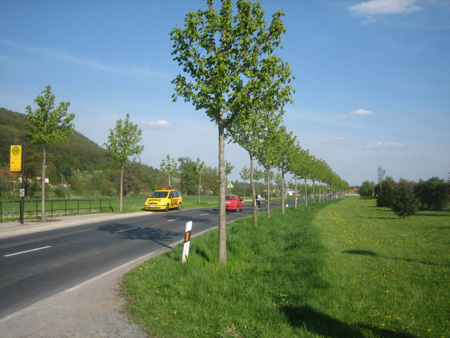 Allee nach der Fertigstellung