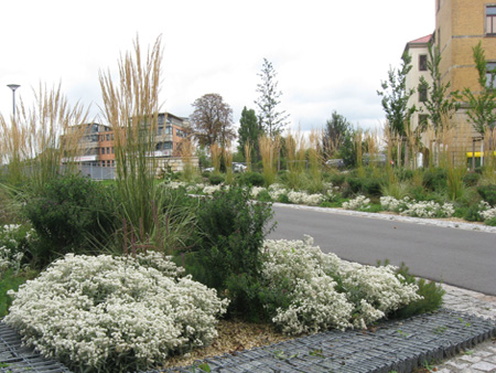 Perennemix