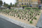 Pflanzarbeiten Staudenbeet