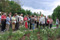 Dresdner Gartenspaziergnge am 16.05.2008