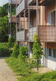 Fassadenbegrnung
